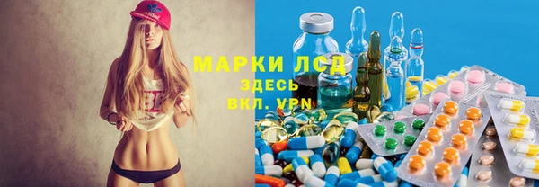 прущие грибы Каменск-Шахтинский