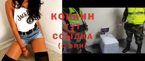 spice Каменка