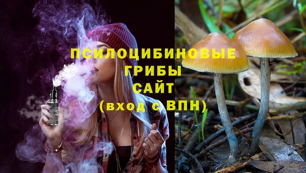 прущие грибы Каменск-Шахтинский
