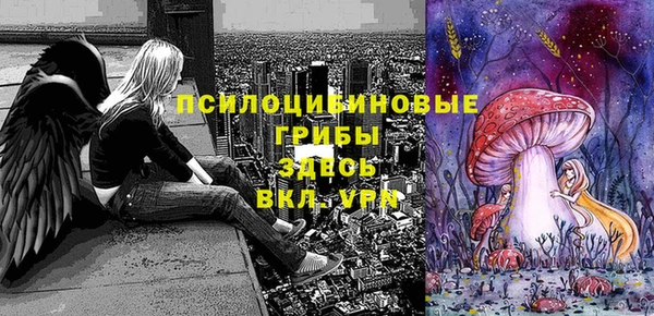 метадон Каменногорск