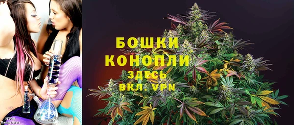прущие грибы Каменск-Шахтинский