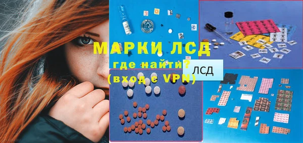 прущие грибы Каменск-Шахтинский