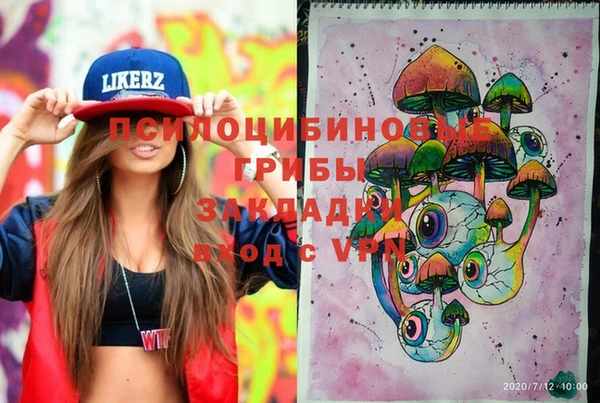 метадон Каменногорск