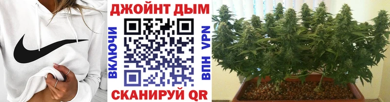 Шишки марихуана конопля  Купить закладки  Кушва 